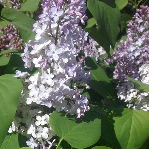 Meet your Posher, Ekaterina